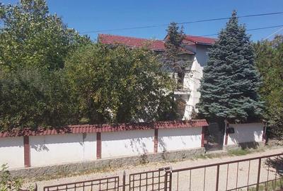 Casa Padurea Baneasa, luminoasa, rezistenta, beci, put propriu, parcare 3 masini - 5