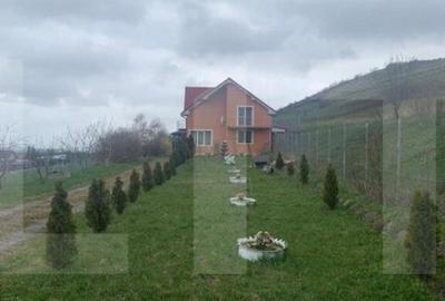 Casa la cheie, teren 2800 mp, Jucu de Sus Casa la cheie, teren 2800 mp, Jucu de Sus - 14