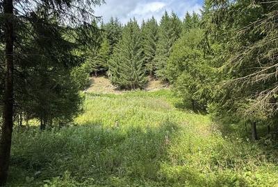 Spațiu comercial, în Mănăstirea Humorului - 4