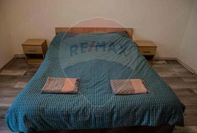 Garsoniera mobilata si utilata, PET FRIENDLY, zona Garii! - 5