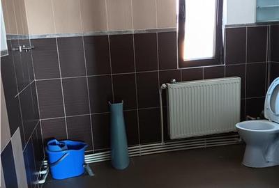 Casă cu 8 camere cu Canalizare în Lunca Cetățuii - 16