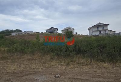 Teren intravilan 4300 mp pretabil parcelare în zonă cu potențial - 3