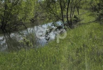 Teren în Moșoaia