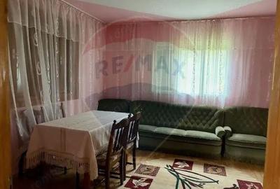 Casă cu 5 camere cu Teren 6328 Mp în Giulești - 1