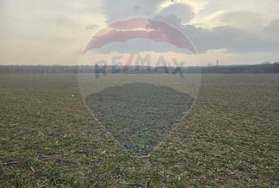 Teren intravilan 9911mp de vanzare, Beresti-Bistrita/ E85 - 4