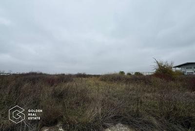 Terenuri pentru Hale si Constructii Industriale, Chișoda / Giroc,Timiș - 3