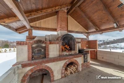 Pensiune 6 camere, Rasca , teren 7500 mp. - 2