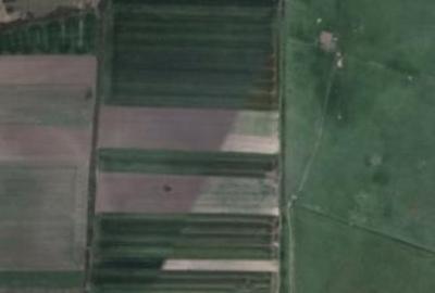 Vanzare teren agricol 68000 mp - 1