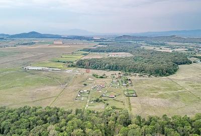 Teren Extravilan - 16