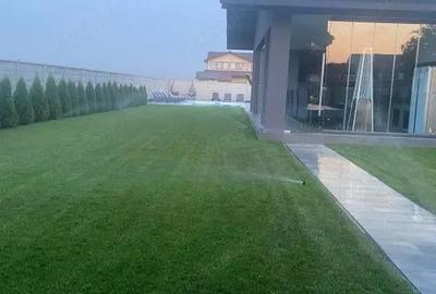 Vila cu piscina | Garaj | Mobilata - Utilata | - 4