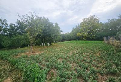 Teren intravilan, cu priveliște spre pădure – Vălenii de Munte - 2