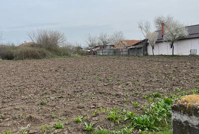 Teren de 2617 mp, în Brastavățu - 5