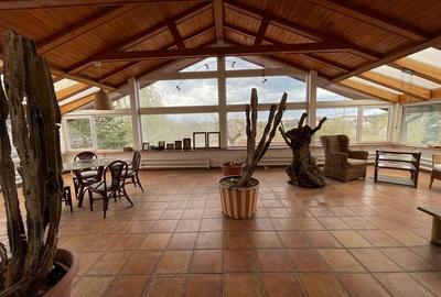 Vila de lux - Snagov, acces la ponton 70 m, deschidere la lac - 12
