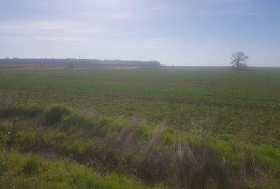 Teren intravilan arabil 55.400 m.p. Vasilati, Jud. Calarasi - 10