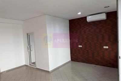 Proprietate specială, de 800 mp, în Theodor Pallady - 16