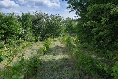 Teren agricol intravilan de 1100 mp, în Chicerea - 1