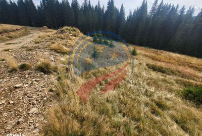 Spațiu comercial, în Central - 5