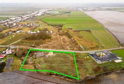 Teren intravilan de 5000 mp, în Roit - 2