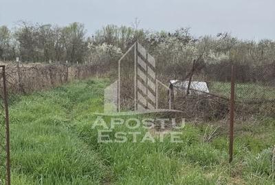 Casă unifamilială în Remetea Mare  cu teren de 3383 mp. - 12