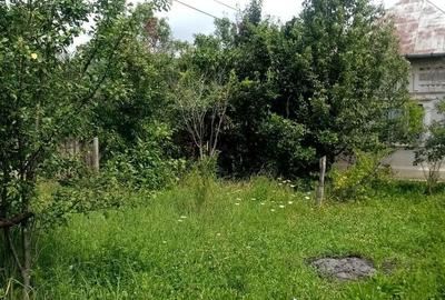 Casă cu 2 camere în Aninoasa - 12