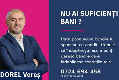 Casă cu 4 camere cu Canalizare în Variașu Mare - 2