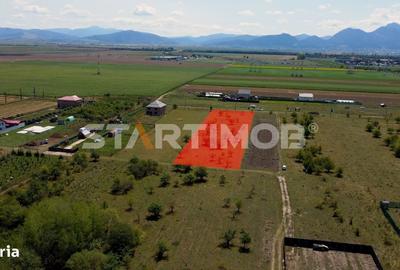 Teren de 2900 mp, în Sânpetru - 6