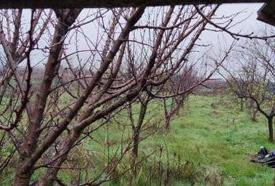 Teren de 2645 mp, în Tudor Vladimirescu - 5