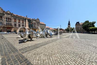 SX575 Piata Traian, Etaj intermediar, Perfect Investitie - 16