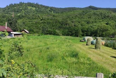 Spațiu comercial, în Straja - 3