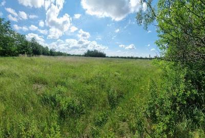 Casă cu 3 camere în Făgețelu - 7