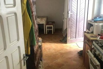 Casă cu 3 camere cu Teren 1768 Mp în Drajna - 12