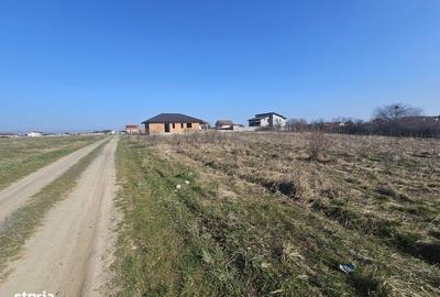 Spațiu comercial, în Șag - 11