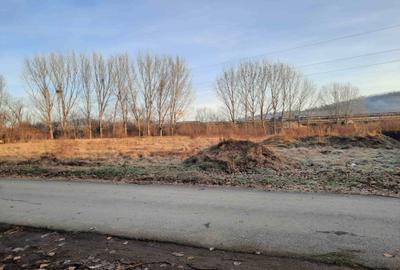 Teren Construcții intravilan de 8750 mp, în Lazaret
