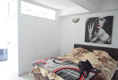 Apartament cu 2 camere decomandat în Valea Alba - 9