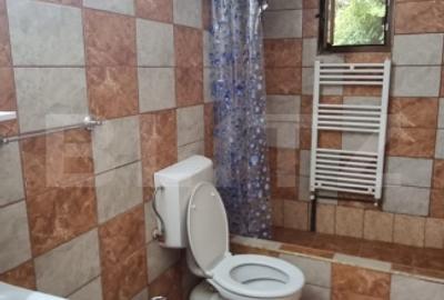 Duplex 86 m2 si curte 180 m2 - Plopii Fara sot - 3