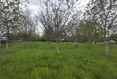 Teren de 1457 mp, în Dărmănești - 4