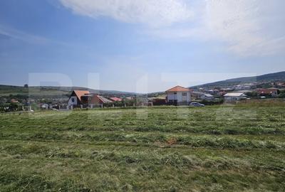 Teren 1705 mp, pentru un duplex si o casa individuala, Chinteni! - 5