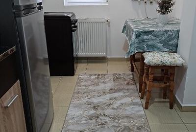 Garsonieră în Sud - 3