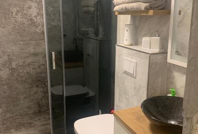 Inchiriere | 2 camere | centrala proprie | Decebal | Alba Iulia - 11