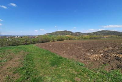 Teren intravilan 877 mp - cartier Gusterita - Sibiu - 1