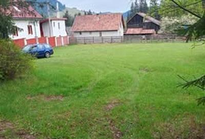 Teren premium 1000 mp – Izvorul Mureșului – Zonă liniștită – Ideal casă de vacan - 5