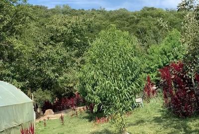 Casă cu 3 camere în Gemenea-Brătulești - 17