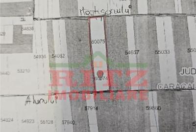 Nou! Teren intravilan 1667 mp, zona Lidl! - 1