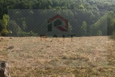 Spațiu comercial, în Turburea - 7