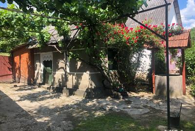 Casă cu 3 camere în Central - 9