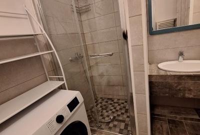 Apartament cu 2 camere decomandat, mobilat în Podul de Fier - 4