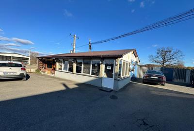 SERVICE AUTO Ultramodern (Business ultraprofitabil la cheie - 3