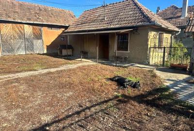 Casa de vanzare in loc. Iclod jud. Cluj cu gradina de 2000 mp - 6