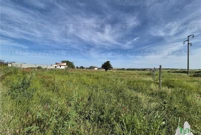 Teren intravilan Techirghiol Teren intravilan Techirghiol - 4