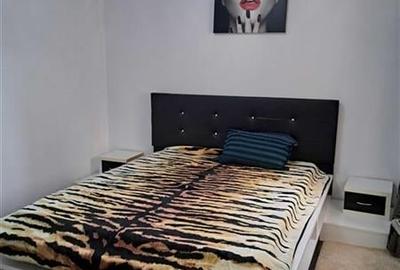 Apartament 2 camere Dristor - 3